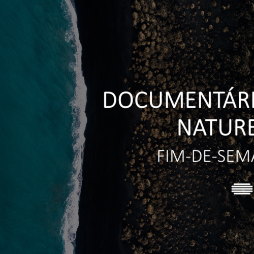 Documentários Natureza