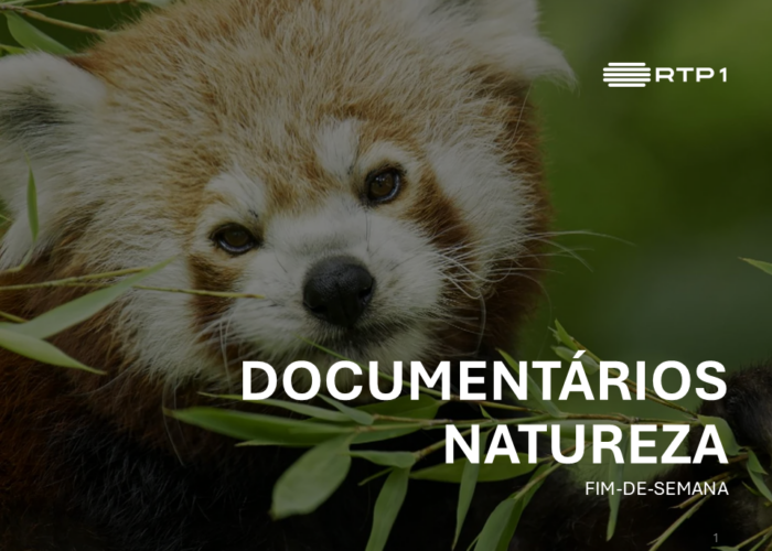 Documentários Natureza